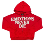 Mixed Emotions Rhinestone Hoodie End