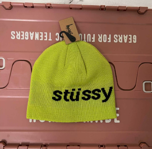 Stussy Beanie [Collection#2]