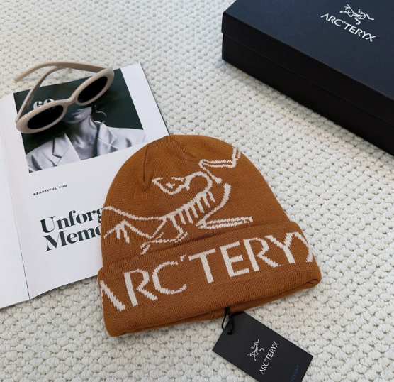 Arcteryx Beanie