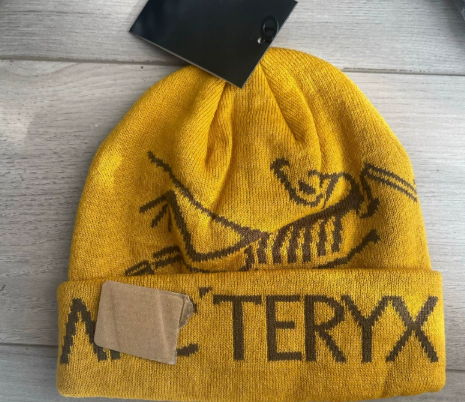 Arcteryx Beanie
