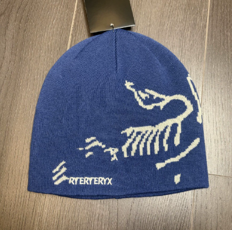 Arcteryx Beanie