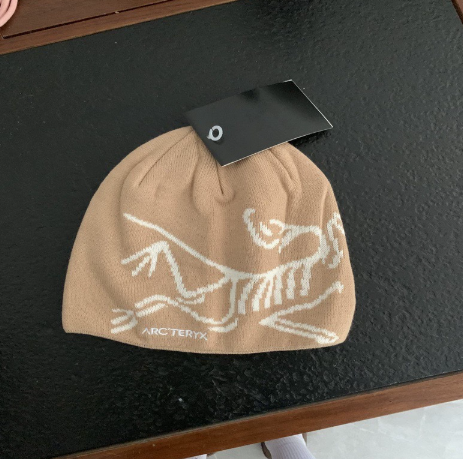 Arcteryx Beanie