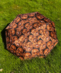 Kanye Yeezy Umbrella