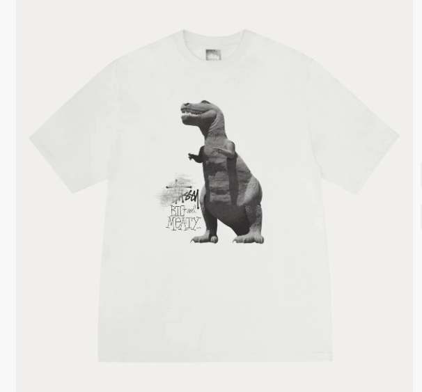 Stussy Tshirts